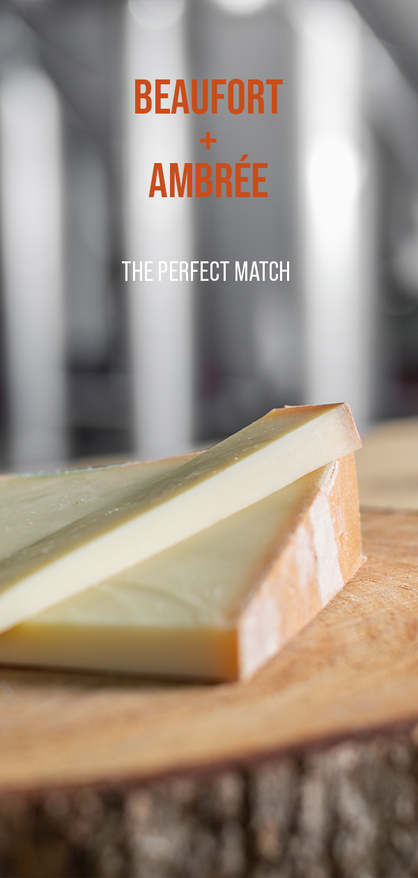 image Les Brasseurs Savoyards